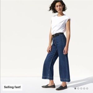 Everlane The Edition 02 Wide Leg Crop 26 ankle
